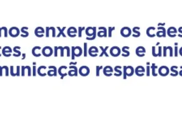 Imagem ilustrativa da imagem Confira 17 dicas para adestrar seu cachorro