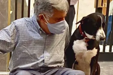 Imagem ilustrativa da imagem Empresário deixa fortuna de R$ 673 milhões para cão, mordomo e caridade
