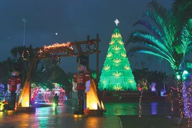 Imagem ilustrativa da imagem Encanto de Natal a partir desta sexta-feira em bairros do ES
