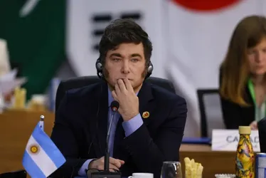 Imagem ilustrativa da imagem G20 Brasil: Milei recebe elogio de Musk em dia de estreia do argentino na cúpula