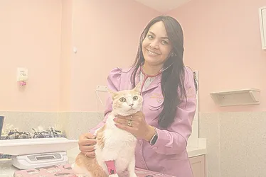 Imagem ilustrativa da imagem Gatos estressados e ansiosos? Tem tratamento!