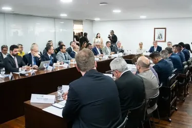 Imagem ilustrativa da imagem Governadores pedem punição rigorosa para incêndios criminosos