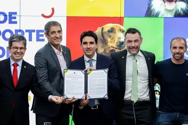 Imagem ilustrativa da imagem Governo anuncia novas regras para transporte aéreo de pets. Veja mudanças