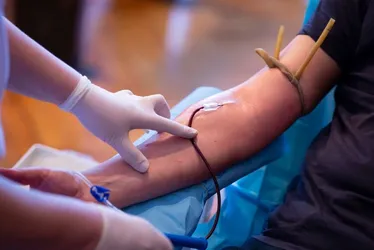 Imagem ilustrativa da imagem Hospital Dom Helder realiza campanha de doação de sangue em parceria com Hemope