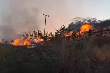 Imagem ilustrativa da imagem Incêndio suspende viagens na Ferrovia Vitória - Minas. Veja data para retomada