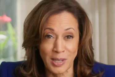 Imagem ilustrativa da imagem Kamala Harris discursa nos EUA,  reconhece a derrota e promete continuar lutando
