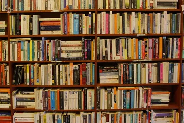 Imagem ilustrativa da imagem Venda de livros cresce mais de 7% em setembro em relação a 2024