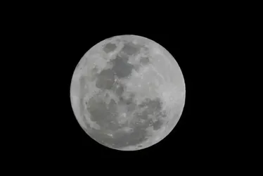 Imagem ilustrativa da imagem Maior superlua do ano pode ser vista nesta quinta-feira