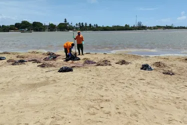 Imagem ilustrativa da imagem Material desconhecido é encontrado em praia do ES