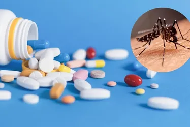 Imagem ilustrativa da imagem Medicamento oral contra a dengue vai ser testado no País