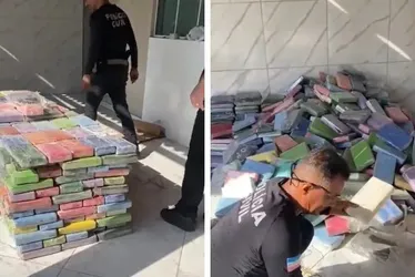 Imagem ilustrativa da imagem Meia tonelada de cocaína apreendida em bunker seria enviada para Europa