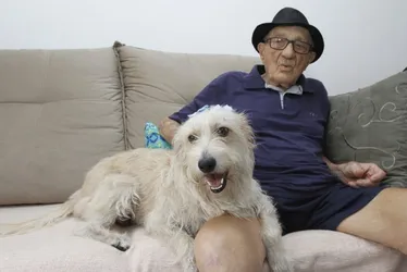 Imagem ilustrativa da imagem Melhores cães para conviver com idosos