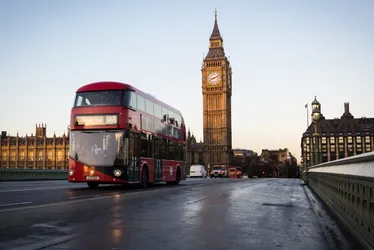 Imagem ilustrativa da imagem Mulher leva 50 pontos após ser atacada por homem com mordidas na Inglaterra