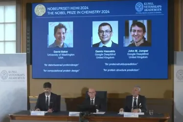 Imagem ilustrativa da imagem Nobel de Química vai para trio que usa IA para decifrar as proteínas