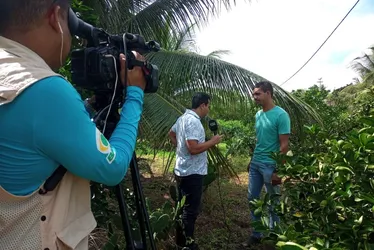 Imagem ilustrativa da imagem Notícias do Campo deste domingo será exibido mais cedo na TV Tribuna PE