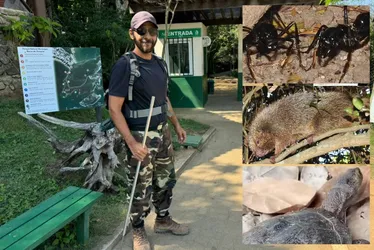 Imagem ilustrativa da imagem Novas descobertas de animais ameaçados