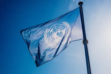 
          Imagem ilustrativa da imagem O discurso na ONU
          