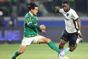 Imagem ilustrativa da imagem Palmeiras e Botafogo se reencontram em 'decisão' pelo Brasileirão