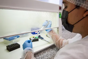 Imagem ilustrativa da imagem Notificação de casos de dengue em Pernambuco caem 73,7% em 2025