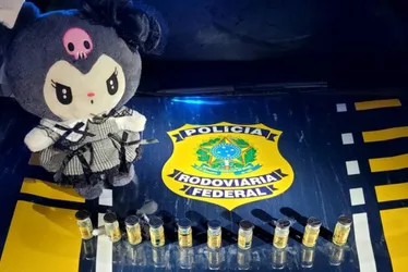 Imagem ilustrativa da imagem Polícia encontra anabolizantes paraguaios escondidos em bicho de pelúcia no ES
