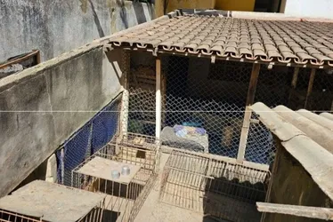 Imagem ilustrativa da imagem Preso suspeito de matar homem dentro de chácara na Serra