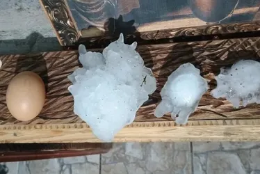 Imagem ilustrativa da imagem RS tem maior granizo registrado em solo brasileiro, com 14,6 cm