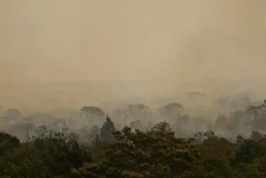 Imagem ilustrativa da imagem Registro de queimadas em setembro é 30% maior que a média do mês