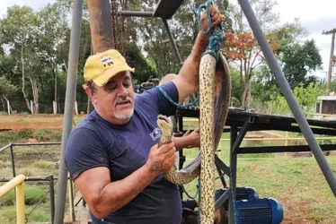 Imagem ilustrativa da imagem Sucuri entra em tubulação e interrompe fornecimento de água em cidade de SP