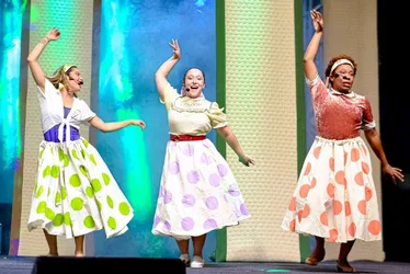 Imagem ilustrativa da imagem Teatro musical “Entre Gerações” nesta quarta-feira na Ufes