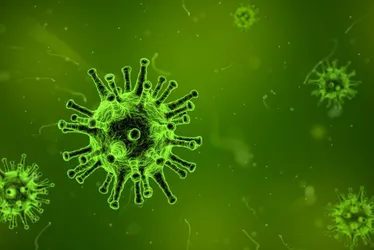 Imagem ilustrativa da imagem Três escolas de Goiás são investigadas por surto de H1N1 que já provocou 2 mortes