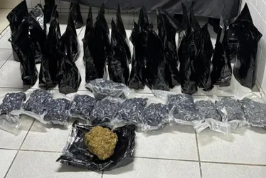 Imagem ilustrativa da imagem Trio é preso transportando carga de "supermaconha" avaliada em R$ 1 milhão