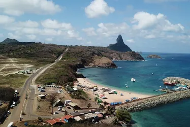 Imagem ilustrativa da imagem Turista é mordida por tubarão em Fernando de Noronha