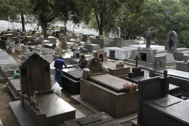 Imagem ilustrativa da imagem Visitantes recebidos ao som de violino em cemitérios no Dia de Finados