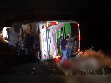 Imagem ilustrativa da imagem Acidente com ônibus deixa quatro pessoas mortas na Bahia; há feridos