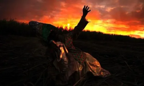 
          Imagem ilustrativa da imagem Aliança inaugura primeira sala de cinema rural com direito a pipoca gratuita
          