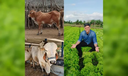 
          Imagem ilustrativa da imagem Arroba em alta e hidroponia em foco: destaques do Notícias do Campo deste domingo
          