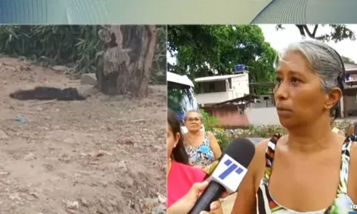 
          Imagem ilustrativa da imagem Ataque de três pitbulls deixa três cadelas e dois gatos mortos no Recife
          