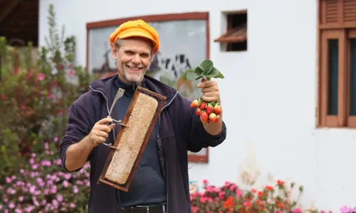 
          Imagem ilustrativa da imagem Hidromel, a "bebida dos deuses", é produzida em apiário no ES
          