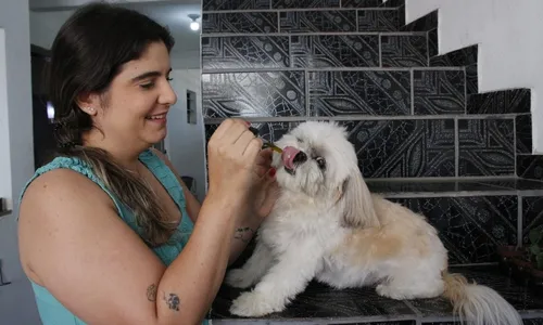 
          Imagem ilustrativa da imagem Cannabis medicinal é usada em tratamentos para cães e gatos no ES
          