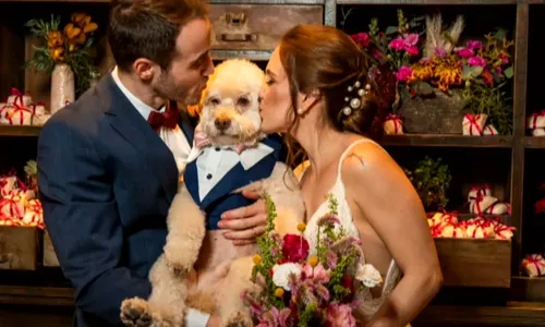 
          Imagem ilustrativa da imagem Cão morre eletrocutado ao tocar cabo em SP e corpo fica na rua quase 30h
          