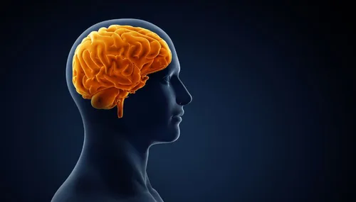 
          Imagem ilustrativa da imagem Casos de AVC aumentaram 70% em 30 anos, mostra estudo
          