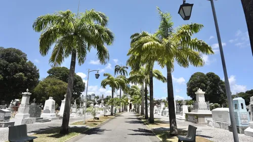 
          Imagem ilustrativa da imagem Comércio, serviços, vacinação e cemitérios. Veja o funcionamento no feriado
          