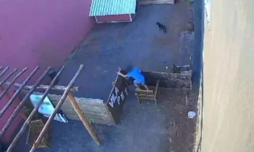 
          Imagem ilustrativa da imagem Criança de 9 anos invade hospital veterinário e mata 23 animais no Paraná
          