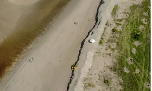 
          Imagem ilustrativa da imagem Depois de muita polêmica, TJPE determina demolição de muro em Pontal de Maracaípe
          