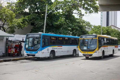 
          Imagem ilustrativa da imagem ENEM 2024. Veja esquemas de segurança e transporte para os dias de prova no Recife
          