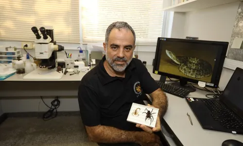 
          Imagem ilustrativa da imagem ES teve 15 mortes por picadas de escorpiões, cobras e aranhas
          