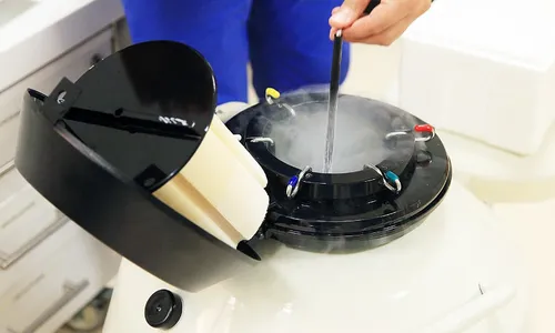 
          Imagem ilustrativa da imagem Embriões congelados e o direito à herança
          