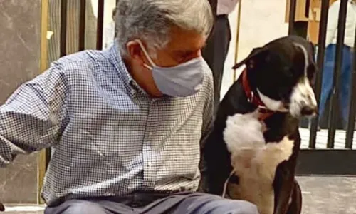 
          Imagem ilustrativa da imagem Empresário deixa fortuna de R$ 673 milhões para cão, mordomo e caridade
          