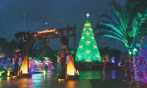 
          Imagem ilustrativa da imagem Encanto de Natal a partir desta sexta-feira em bairros do ES
          