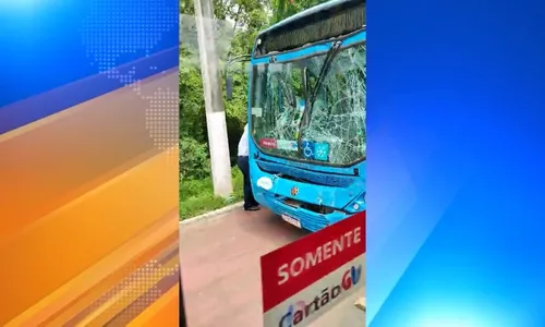 
          Imagem ilustrativa da imagem Engavetamento envolvendo três ônibus do Transcol deixa 17 pessoas feridas na Serra
          
